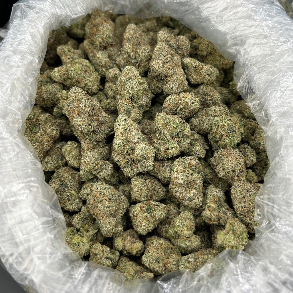Cola Candy ZUP#4245