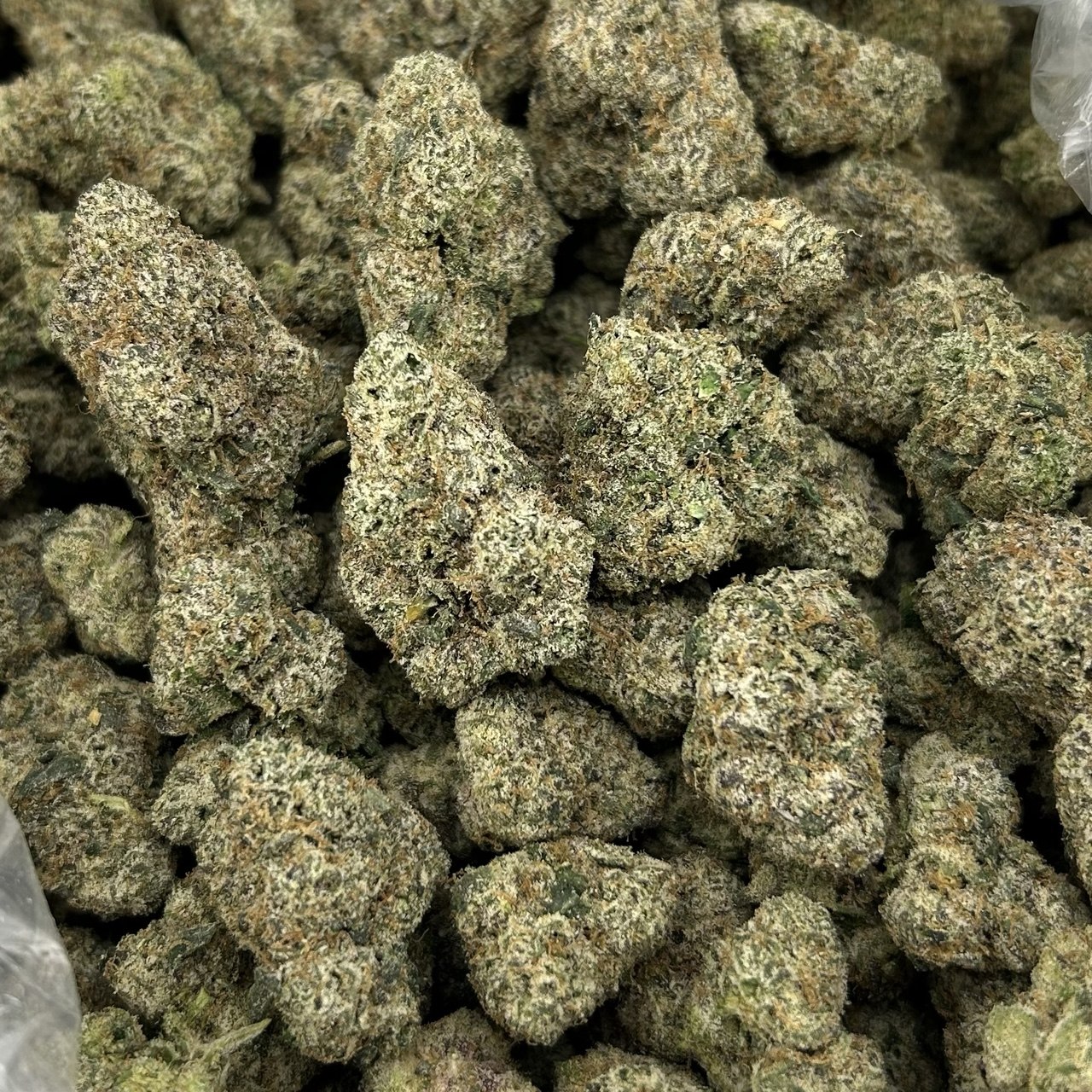 Cola Candy ZUP#4245