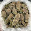 Platinum Temple ZUP#4248