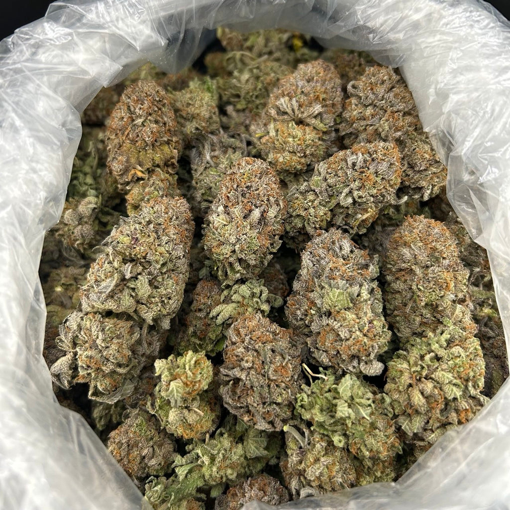 Platinum XXX ZUP#4249
