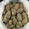 Platinum XXX ZUP#4249