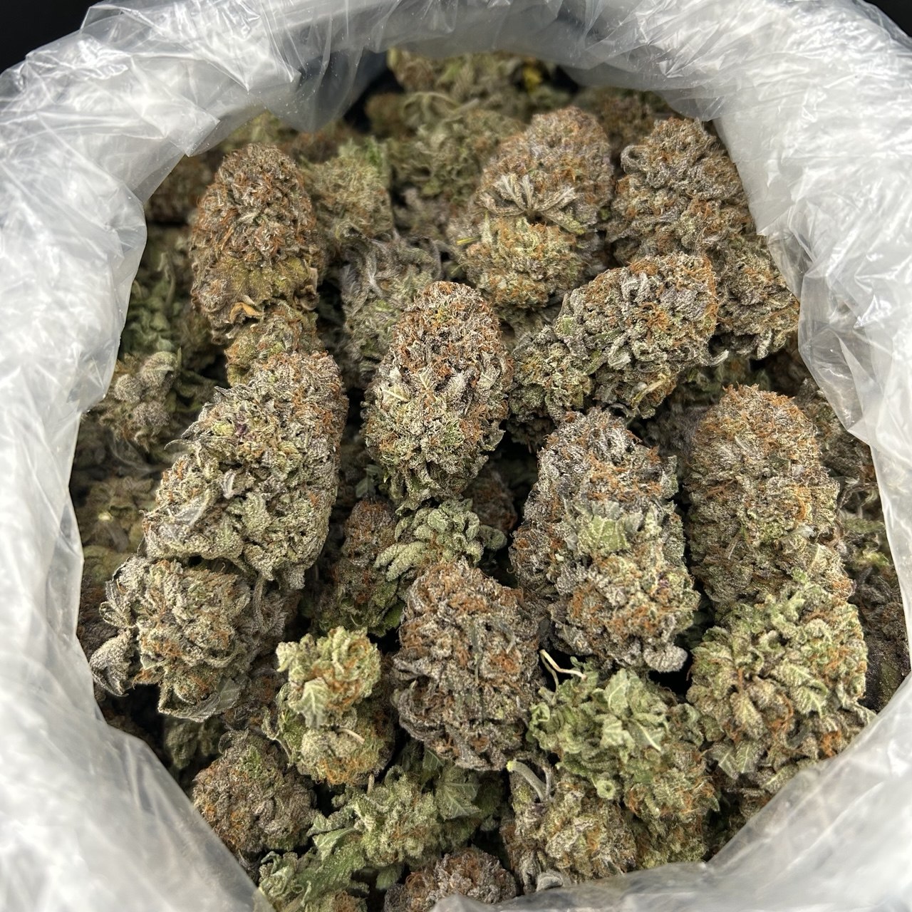 Platinum XXX ZUP#4249