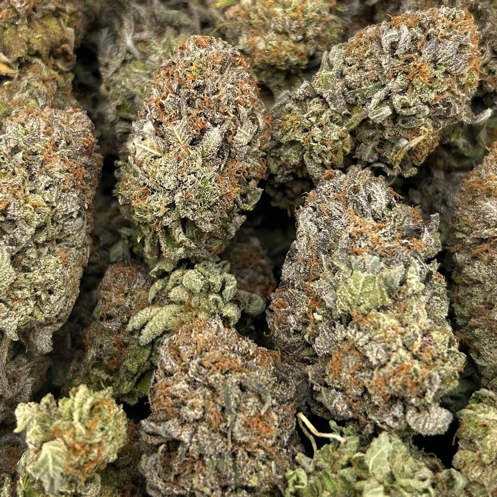 Platinum XXX ZUP#4249