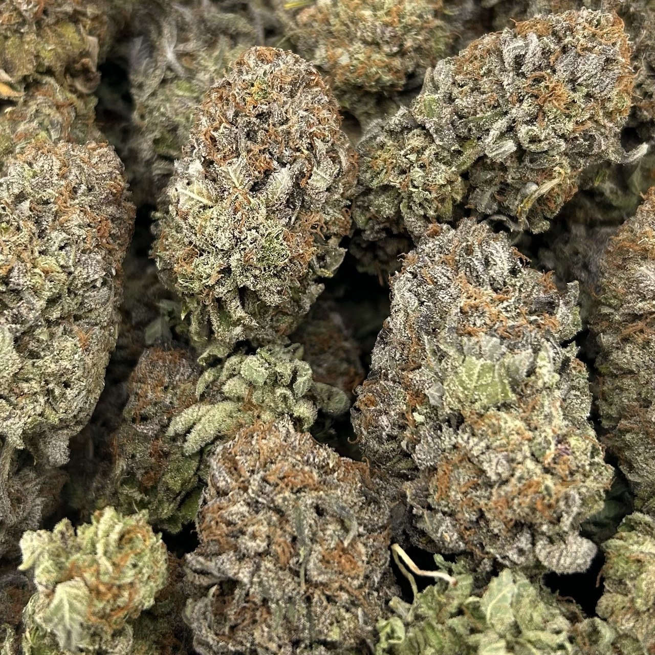 Platinum XXX ZUP#4249