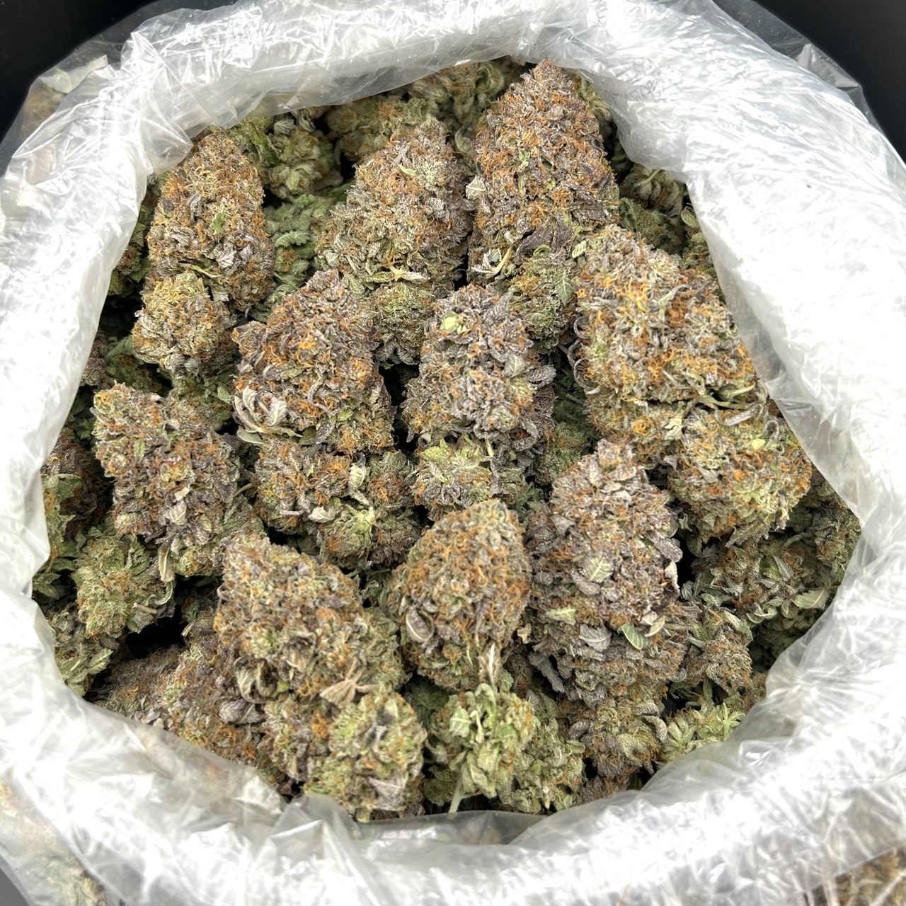 Platinum Trapstar ZUP#4250