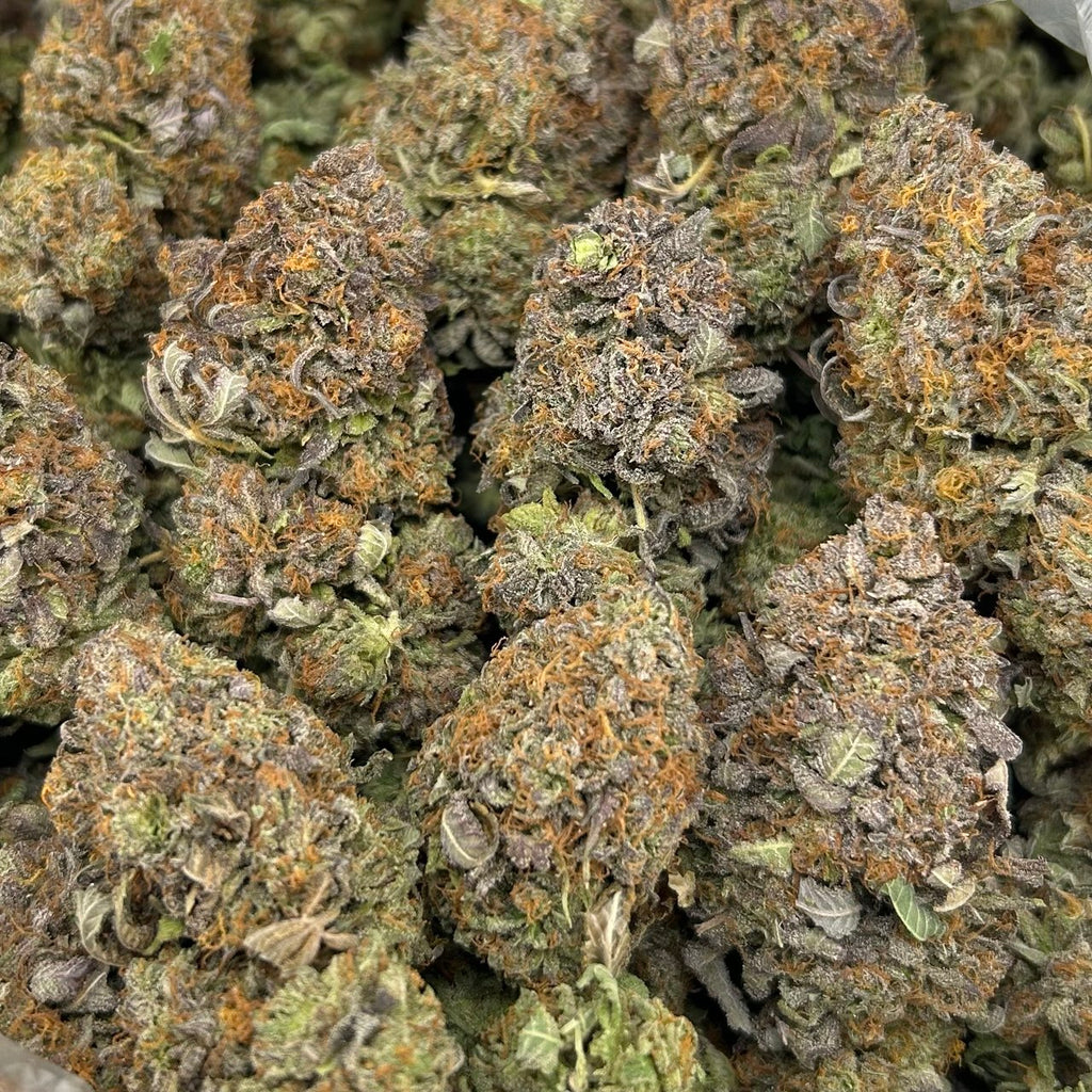 Platinum Trapstar ZUP#4250
