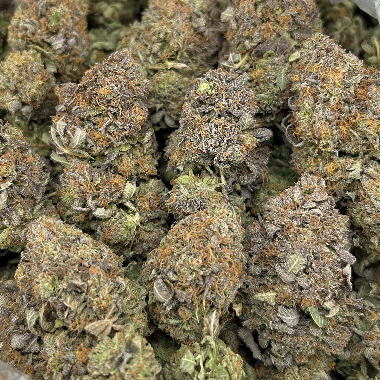 Platinum Trapstar ZUP#4250