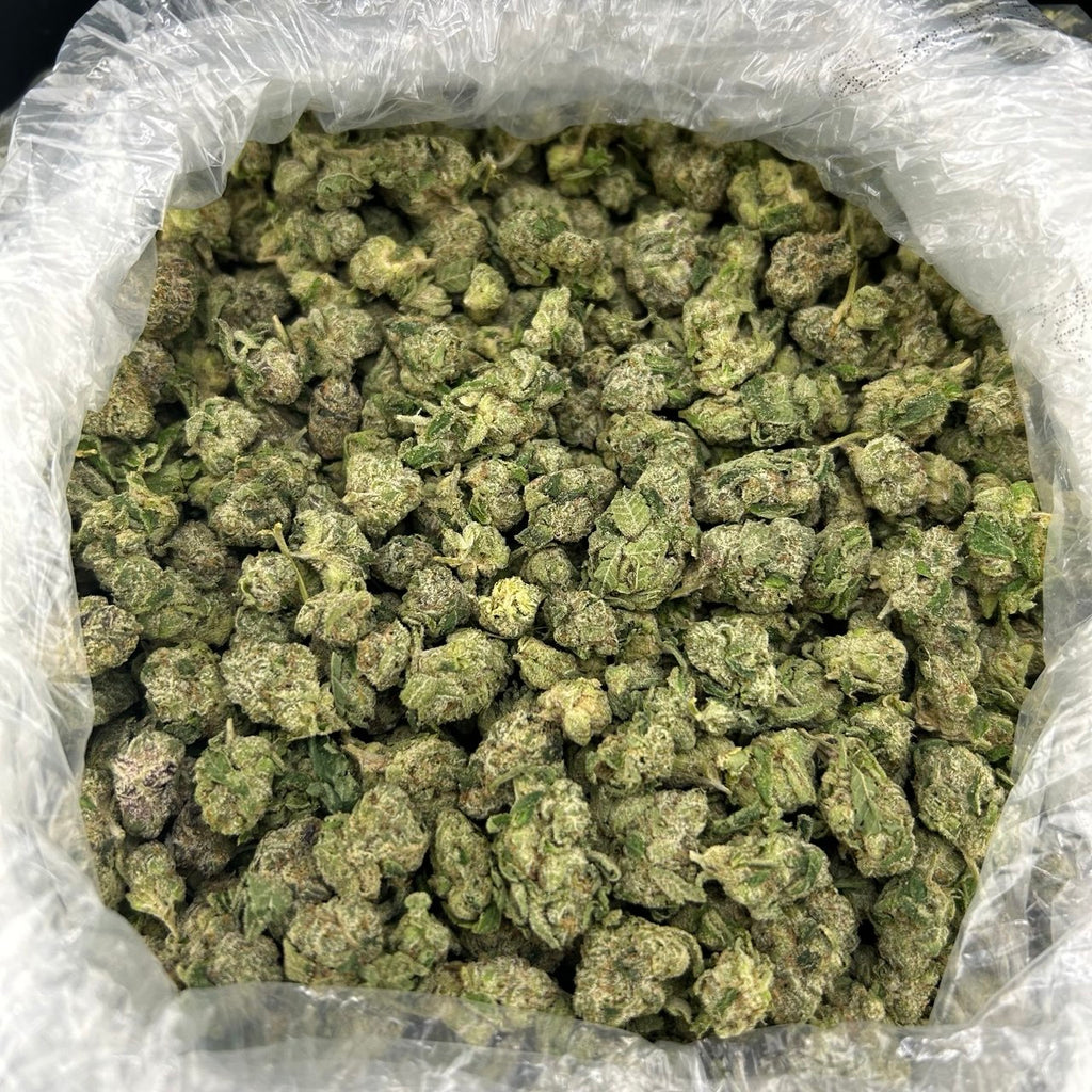 Blue Candy Gusher Smalls ZUP#4254