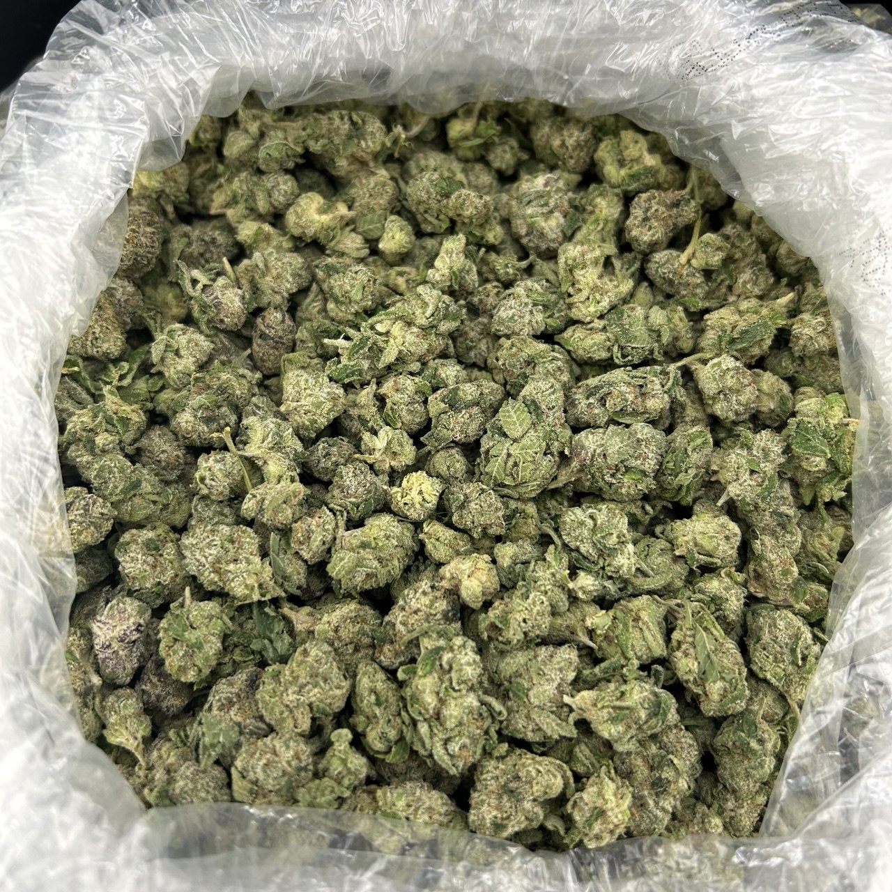 Blue Candy Gusher Smalls ZUP#4254