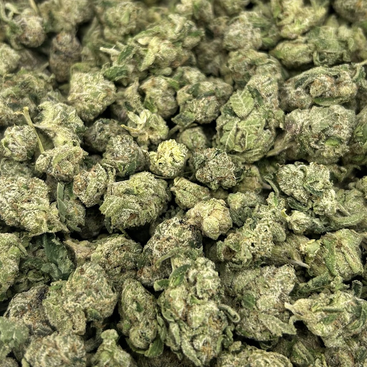 Blue Candy Gusher Smalls ZUP#4254