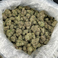 Tokyo Peach Candy ZUP#4255
