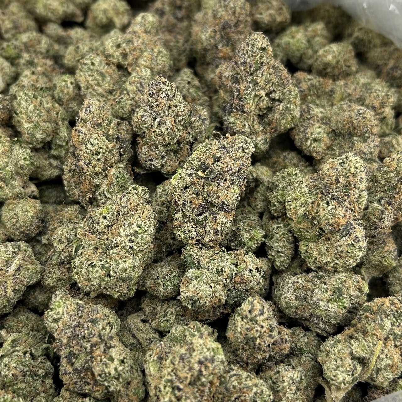 Grape Laffy Taffy ZUP#4278