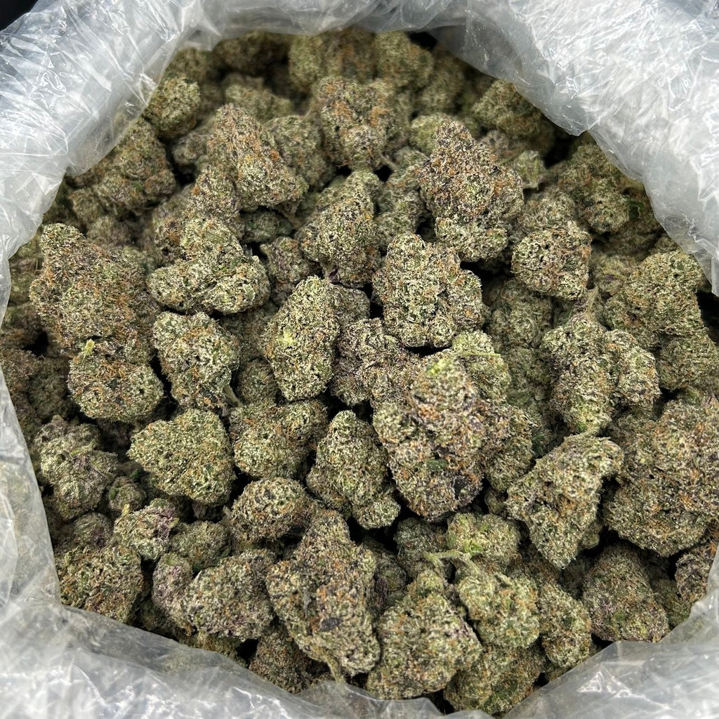 Showtime Candy Runtz ZUP#4282