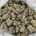 Slowberries ZUP#4289