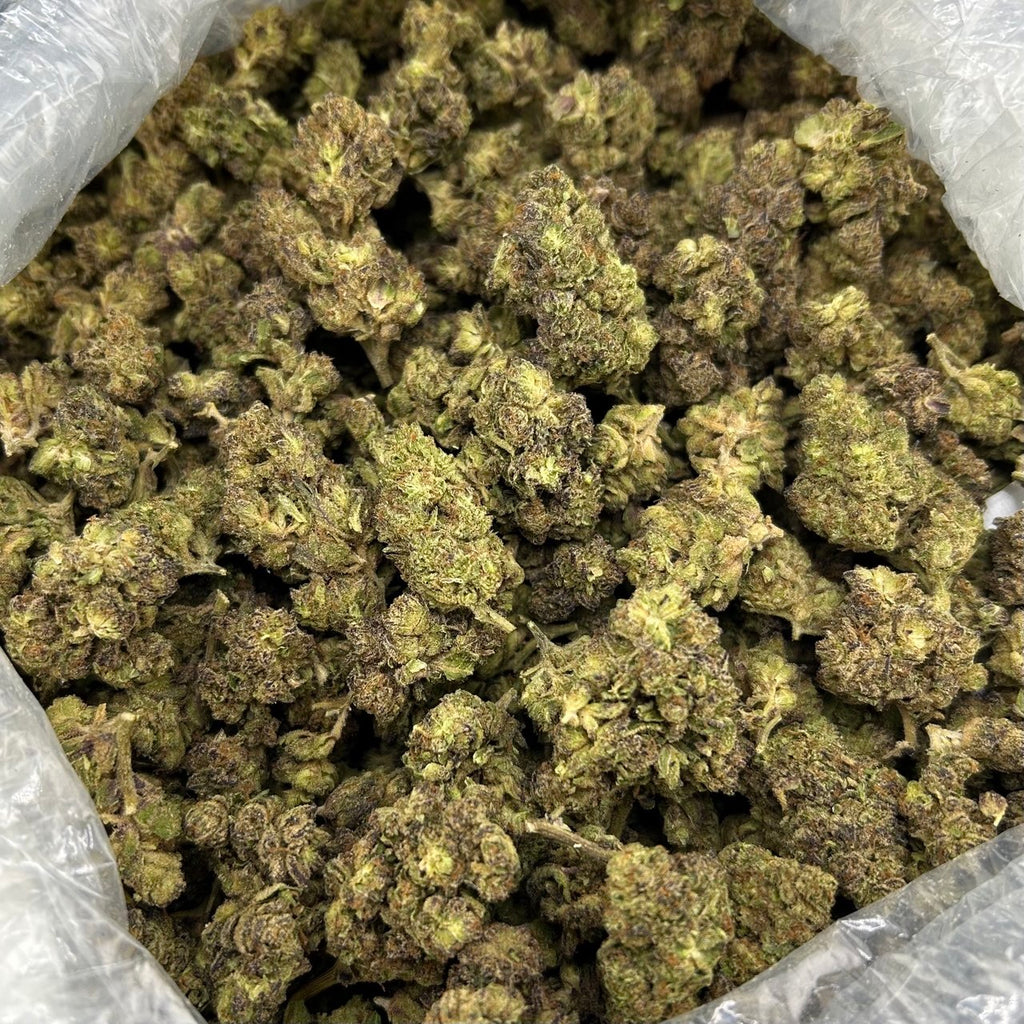 Blueberry Cake ZUP#4294