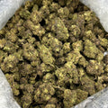 Blueberry Cake ZUP#4294