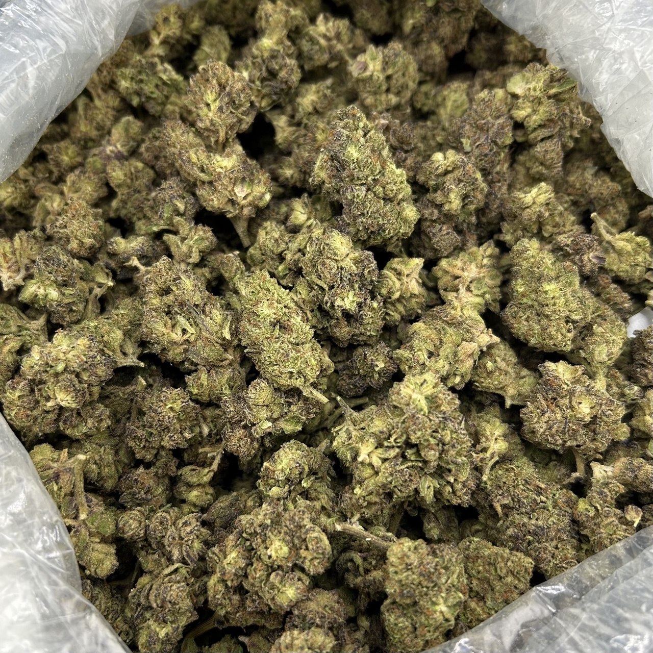 Blueberry Cake ZUP#4294