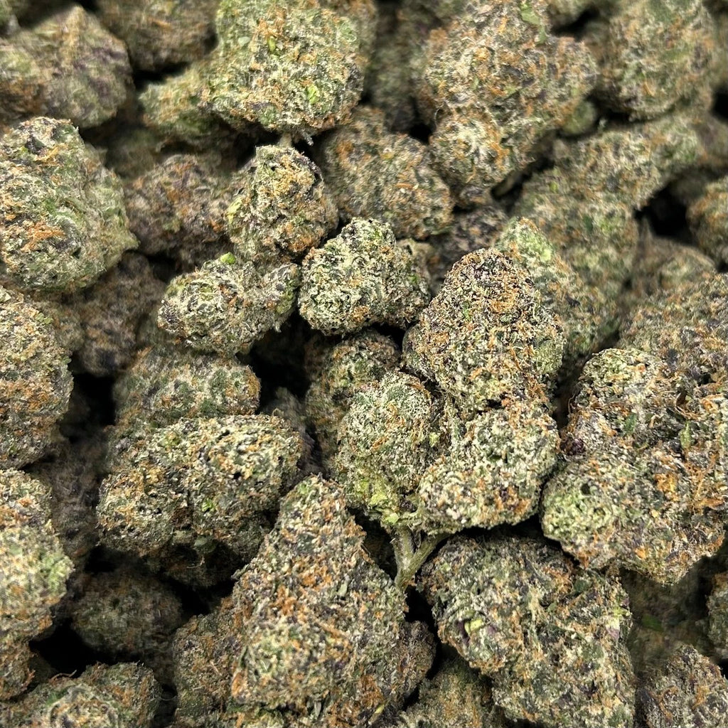 Pink Slushy ZUP#4295
