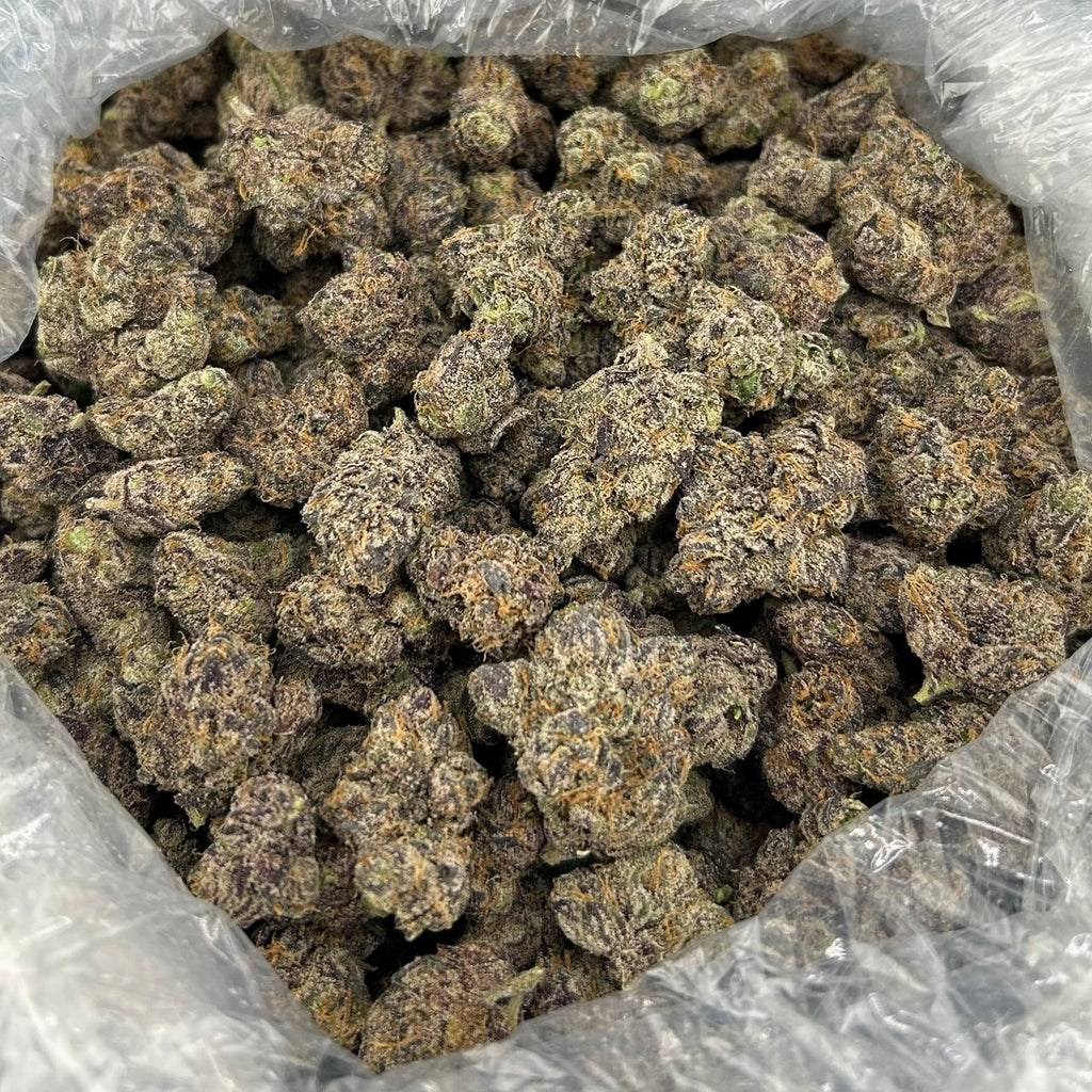 Certified Candy ZUP#4296