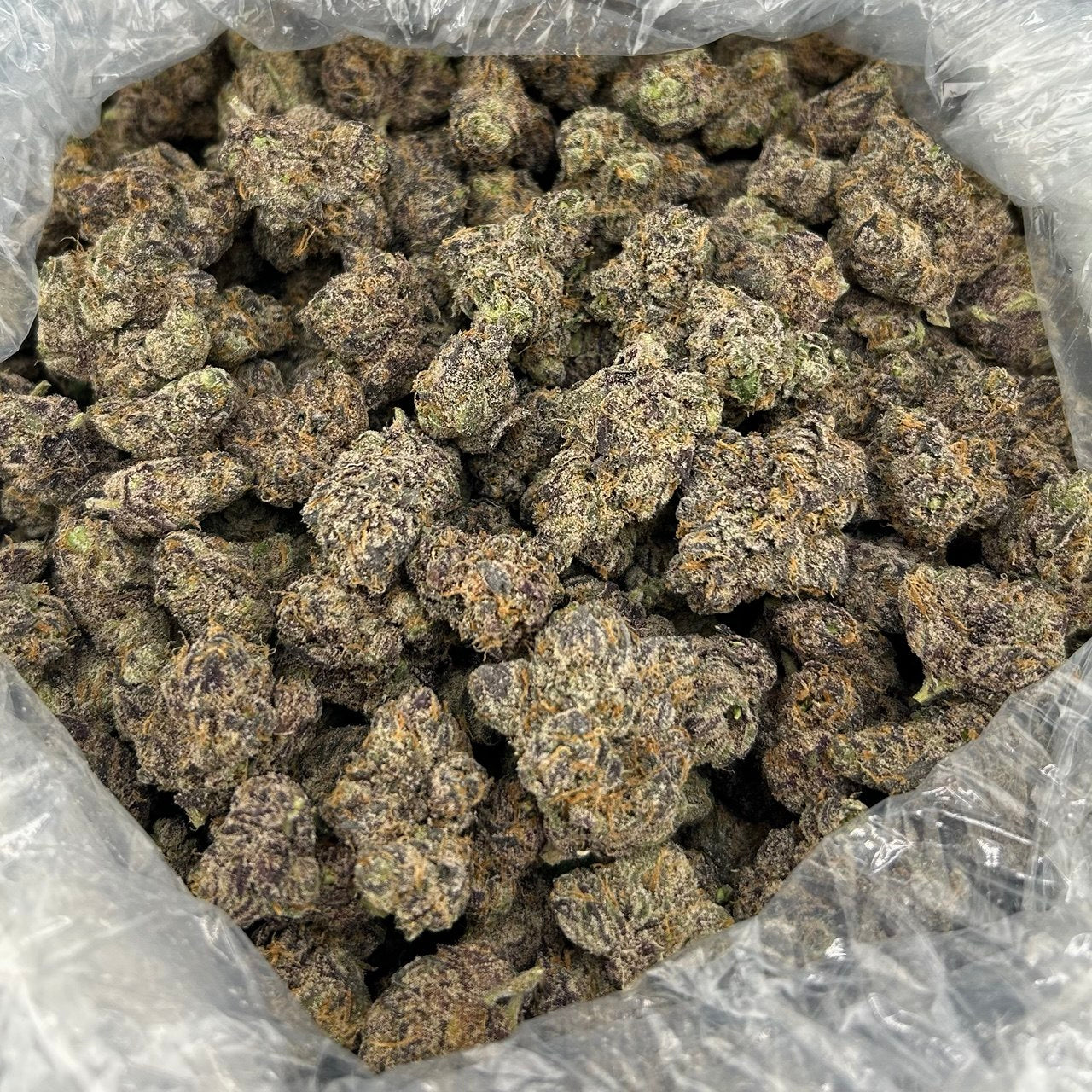 Certified Candy ZUP#4296