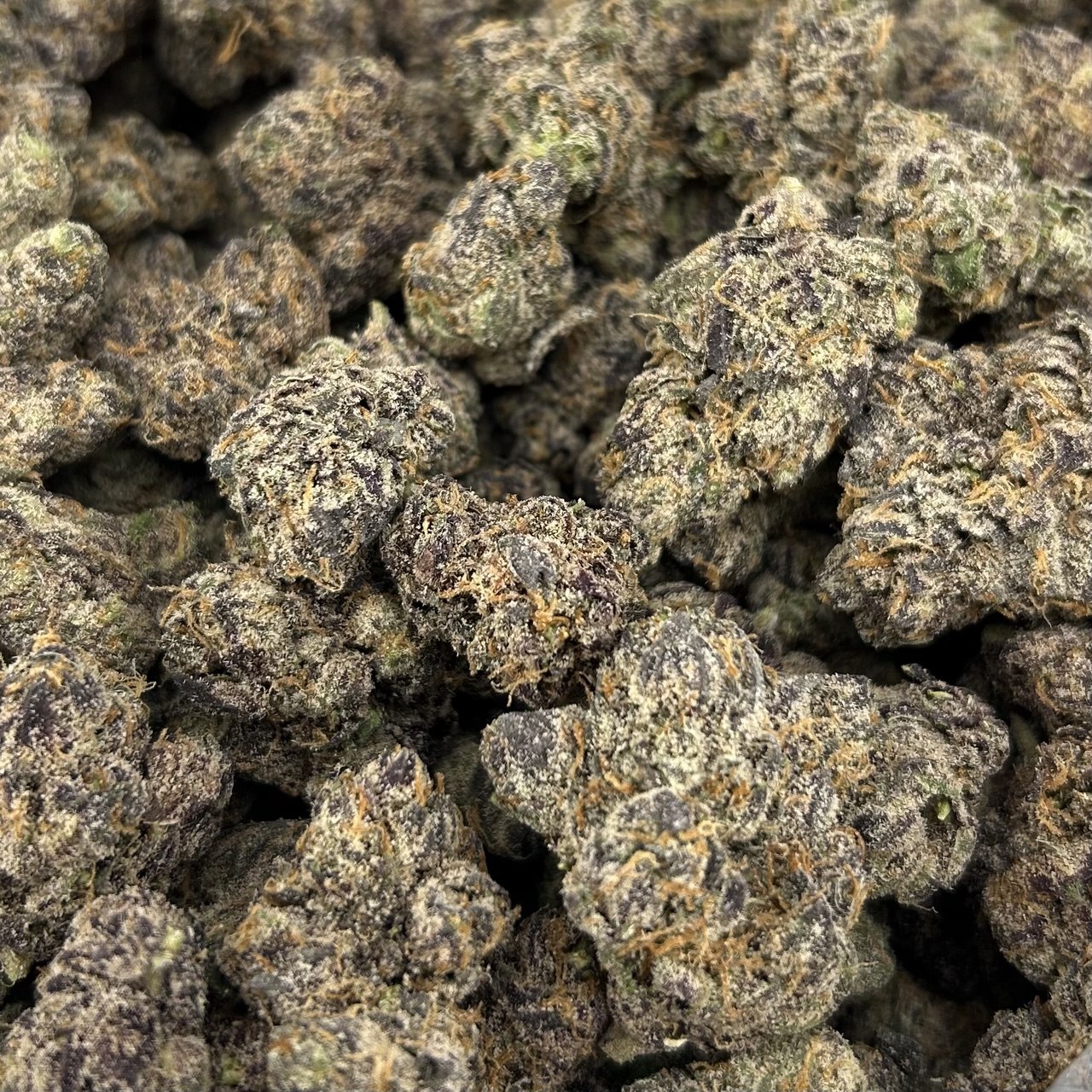 Certified Candy ZUP#4296