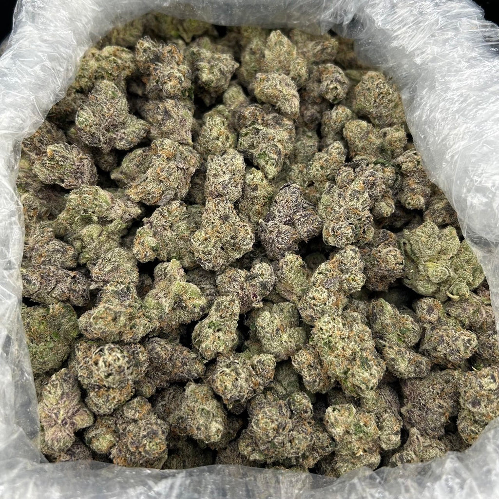 West Coast Yum Yums ZUP#4297