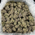 West Coast Yum Yums ZUP#4297