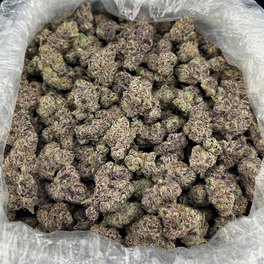 White Candy Nerds ZUP#4298