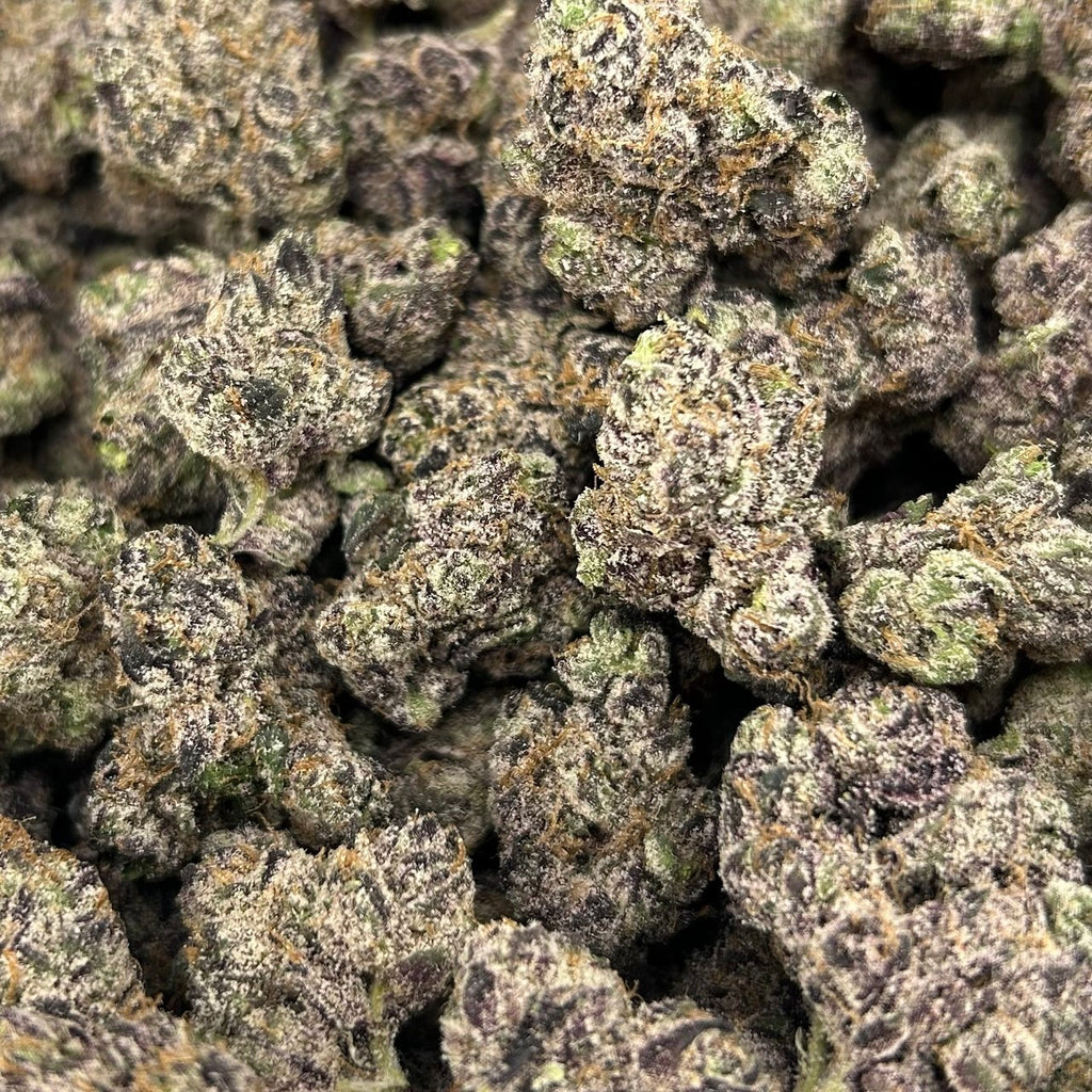 White Candy Nerds ZUP#4298