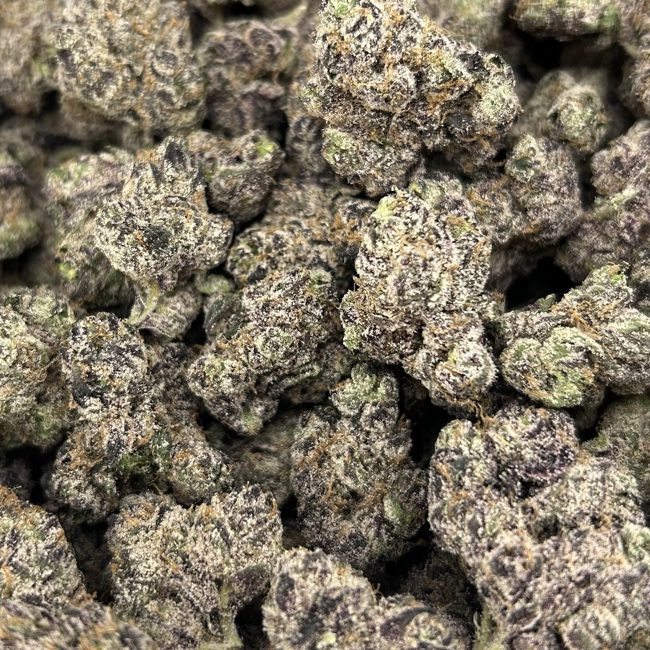 White Candy Nerds ZUP#4298