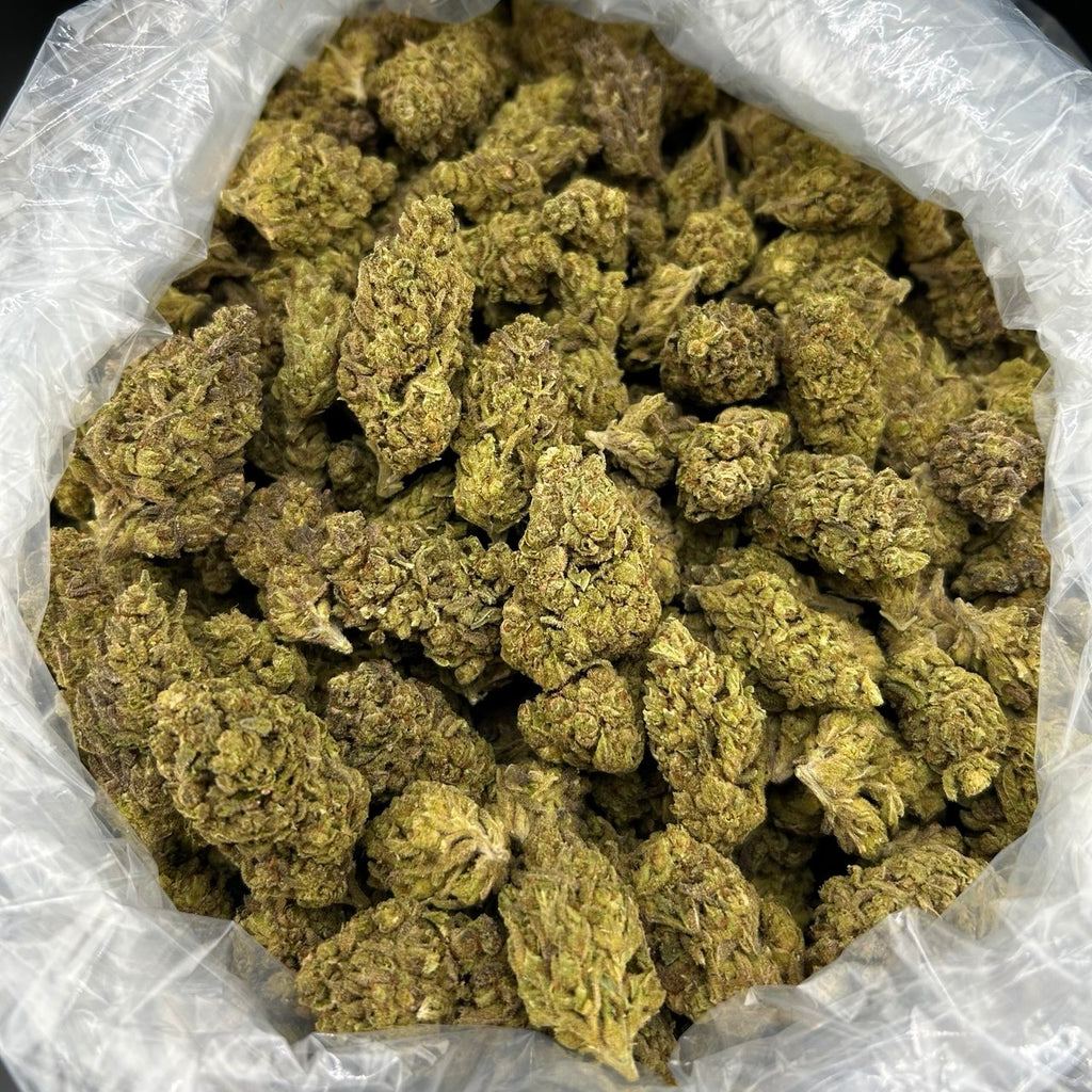 Zour Diesel ZUP#4300