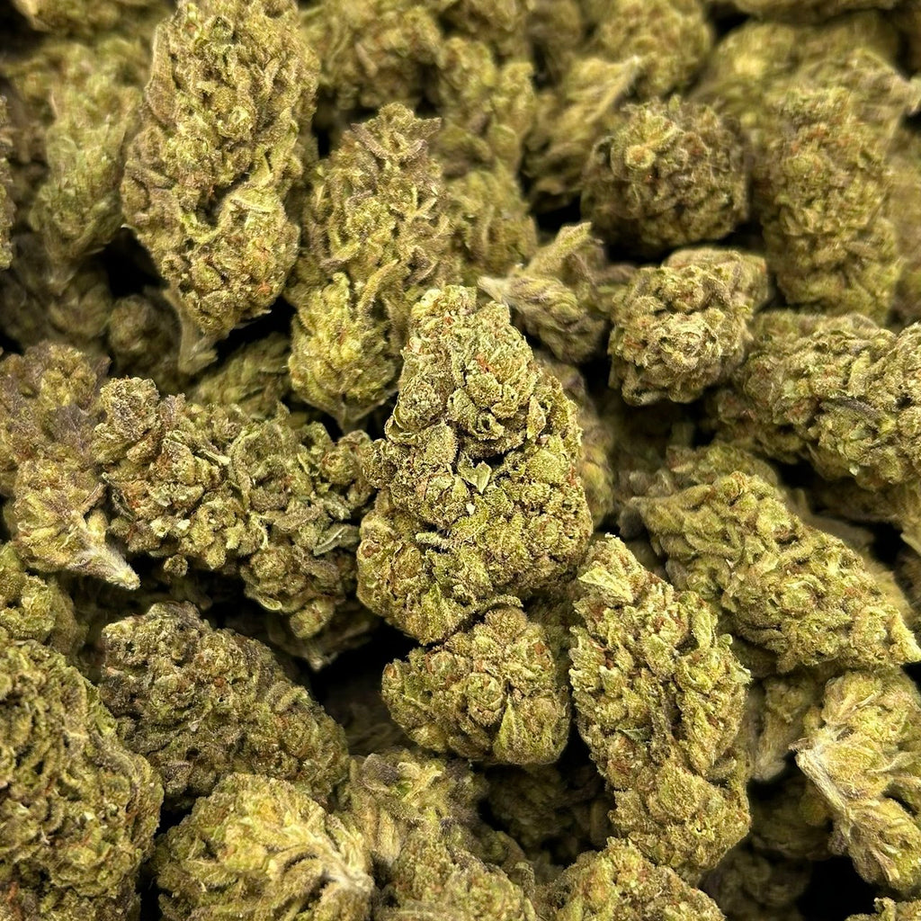 Zour Diesel ZUP#4300