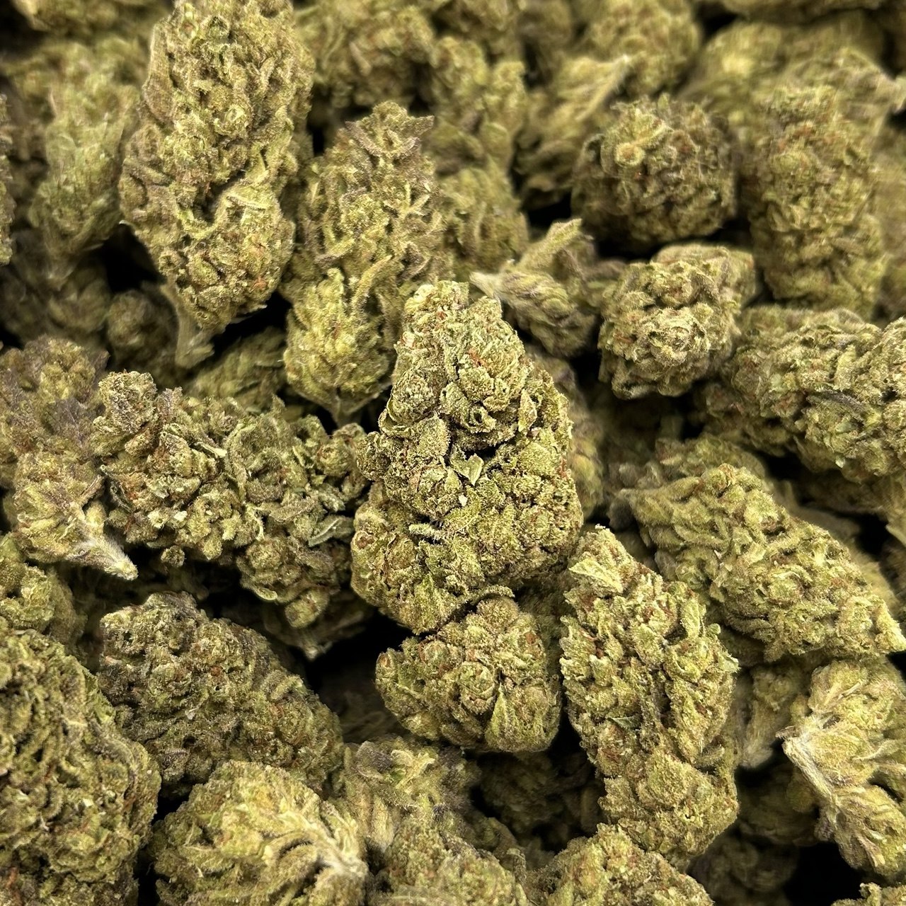 Zour Diesel ZUP#4300