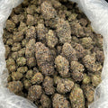 Red Hot Gummiez ZUP#4301