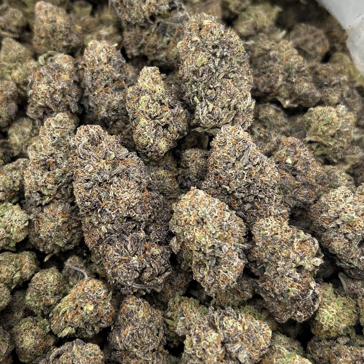 Red Hot Gummiez ZUP#4301