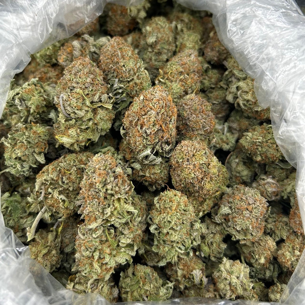 Frosted Plats ZUP#4303