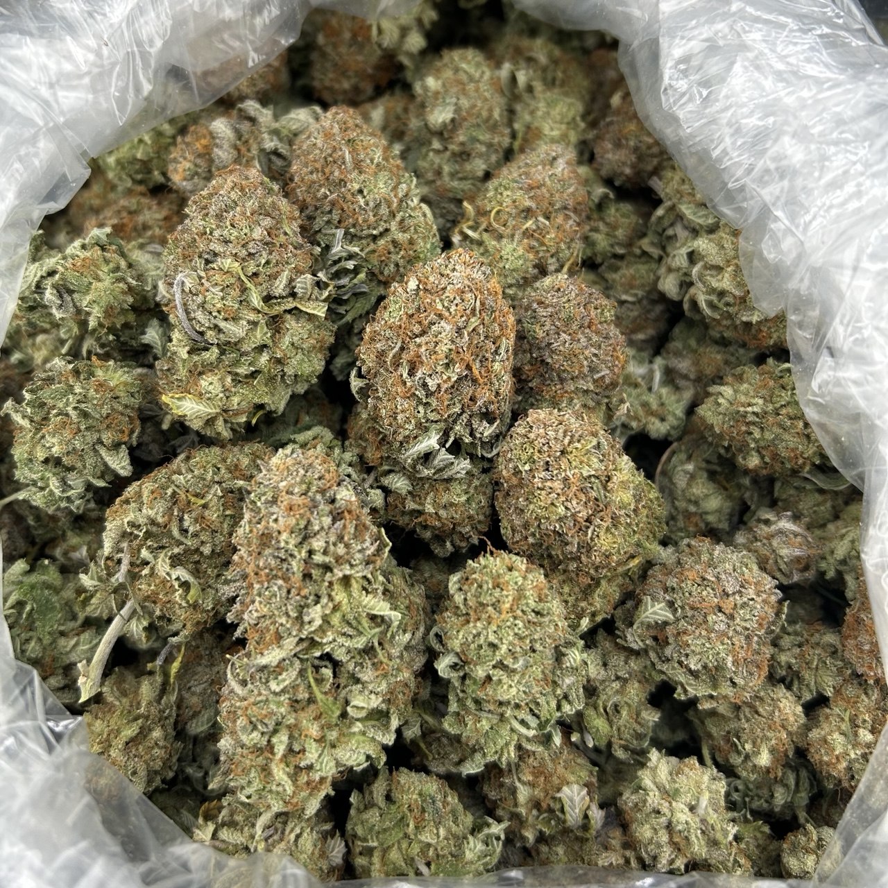 Frosted Plats ZUP#4303