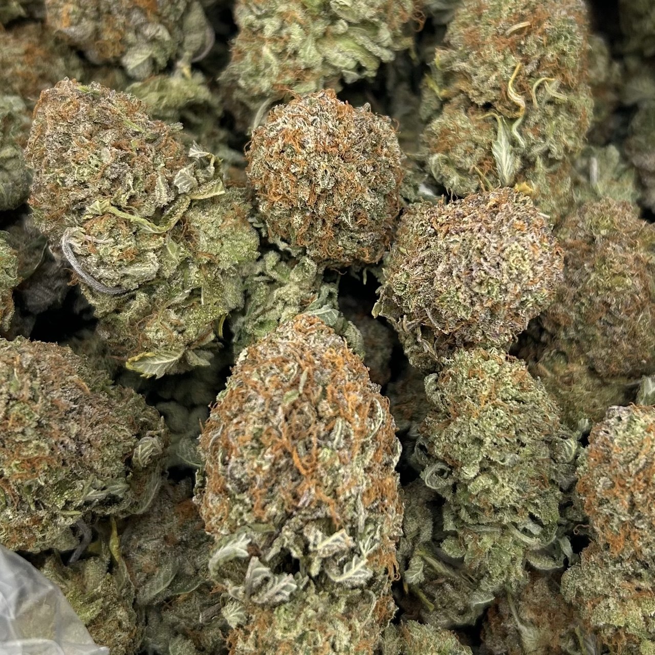 Frosted Plats ZUP#4303