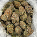 Grand Station Bubba ZUP#4314