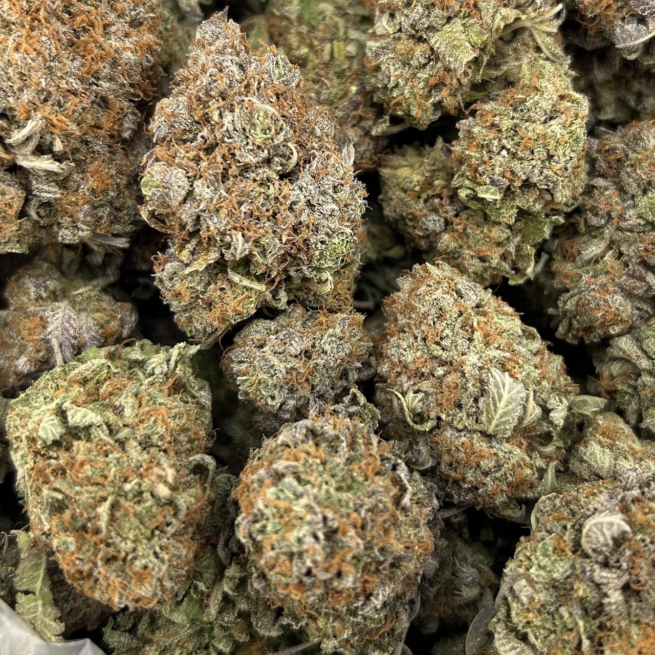 Grand Station Bubba ZUP#4314