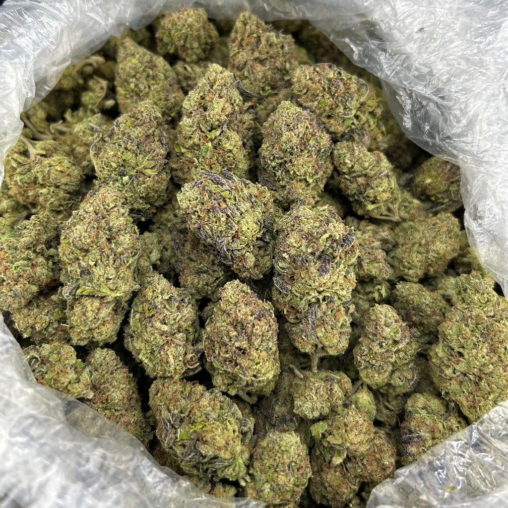 Honey Spritz Gelato ZUP#4320