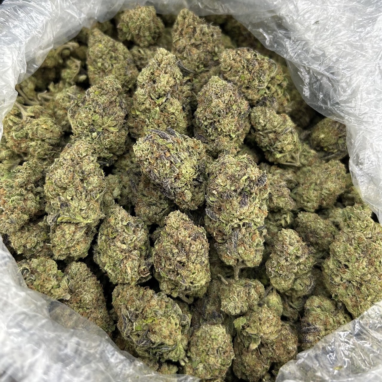 Honey Spritz Gelato ZUP#4320