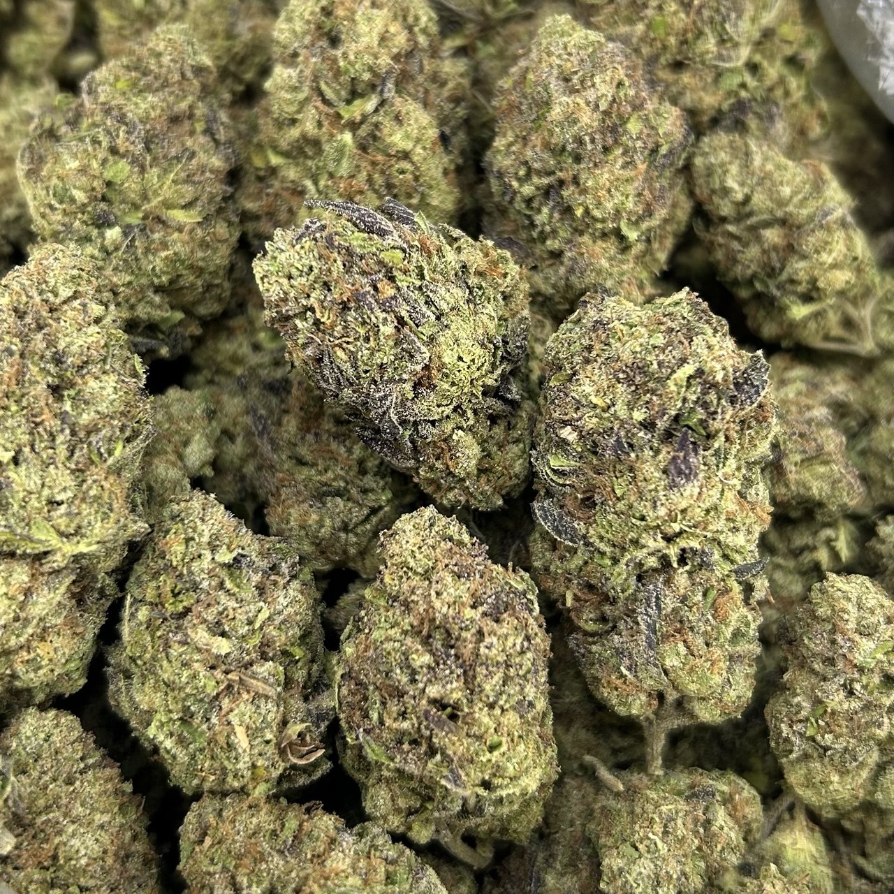 Honey Spritz Gelato ZUP#4320
