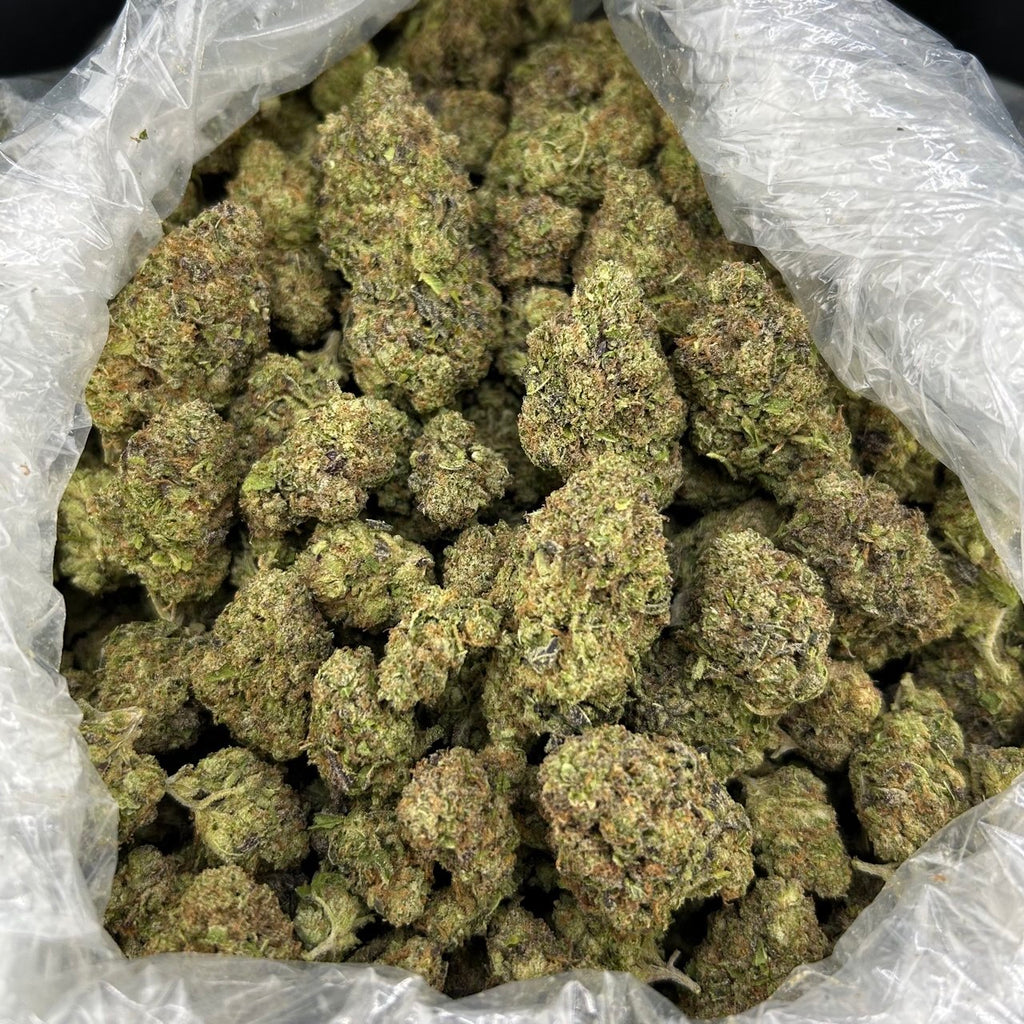 Pineapple Gelato ZUP#4325