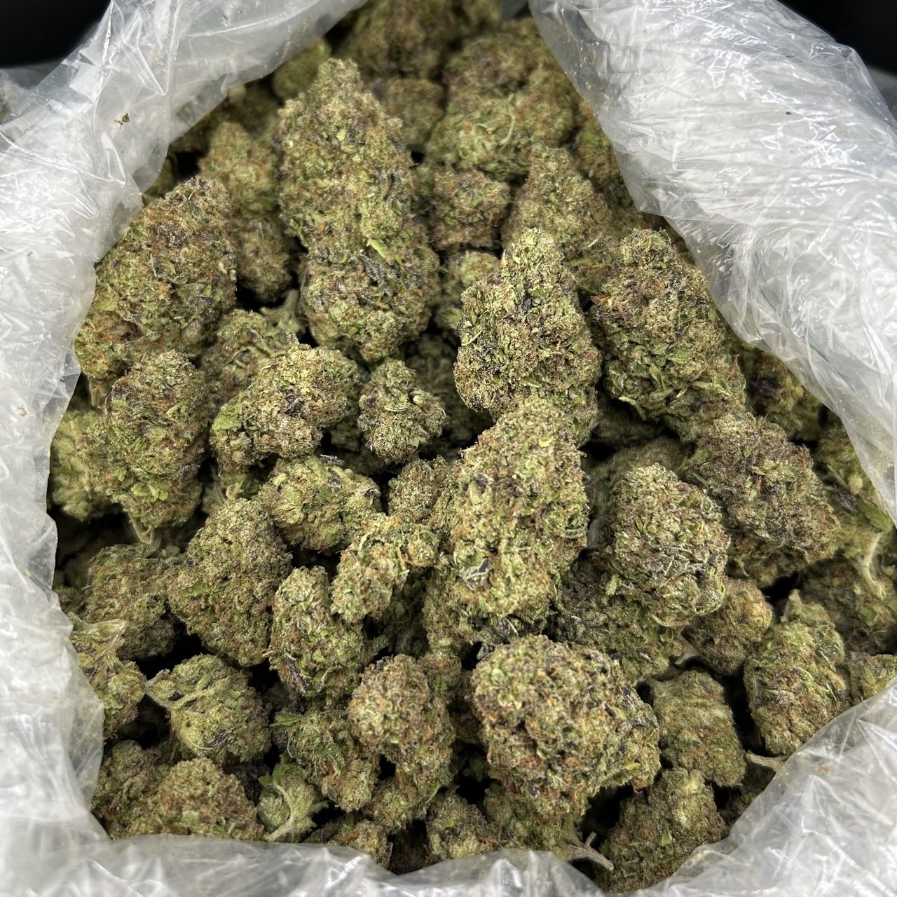Pineapple Gelato ZUP#4325