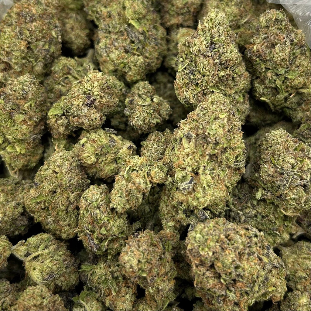 Pineapple Gelato ZUP#4325