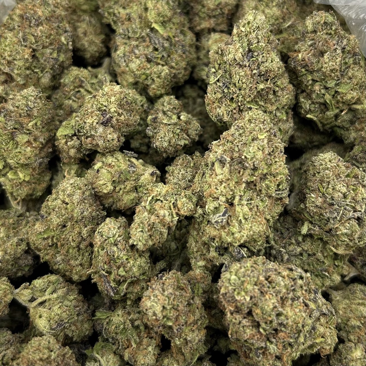Pineapple Gelato ZUP#4325