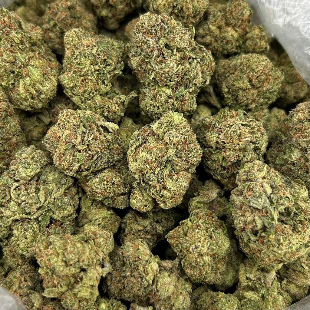 Lemon Cherry Gusherz ZUP#4330