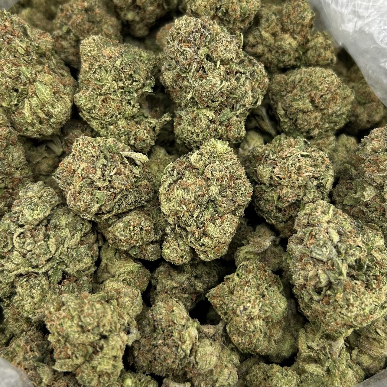 Lemon Cherry Gusherz ZUP#4330
