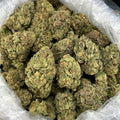 Candy Gas Chamber ZUP#4331